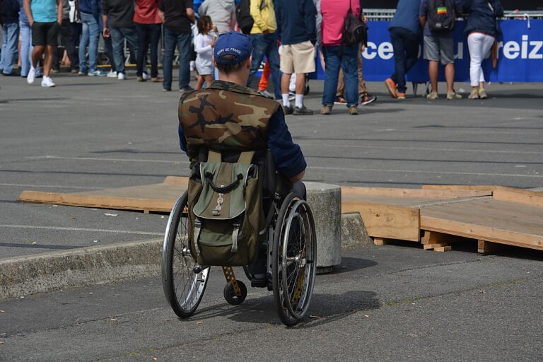 disabled, handicap, wheelchair